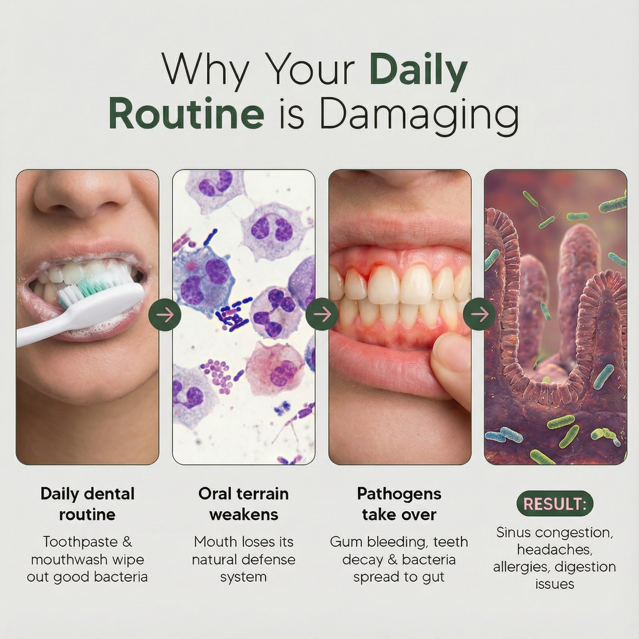 Oral Defence – Maximum Potency Oral Microbiome Restoration by Skeptra™